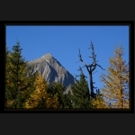 Aletsch_019.png