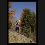 Aletsch_022.png