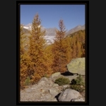 Aletsch_024.png