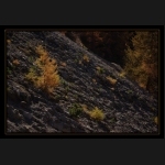 Aletsch_041.png