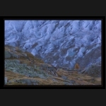 Aletsch_054.png