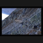 Aletsch_060.png