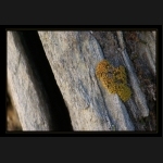 Aletsch_068.png