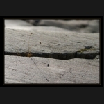 Aletsch_075.png