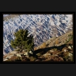 Aletsch_093.png