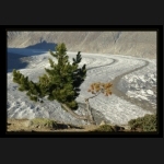 Aletsch_096.png