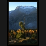 Aletsch_101.png