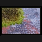 Aletsch_106.png