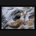 Aletsch_109.png