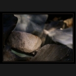 Aletsch_118.png