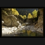 Aletsch_131.png