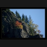 Aletsch_133.png