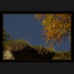 Aletsch_134.png