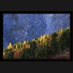 Aletsch_171.png