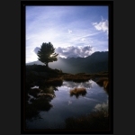 Aletsch_173.png