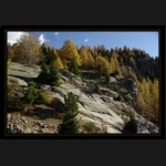 Aletsch_185.png