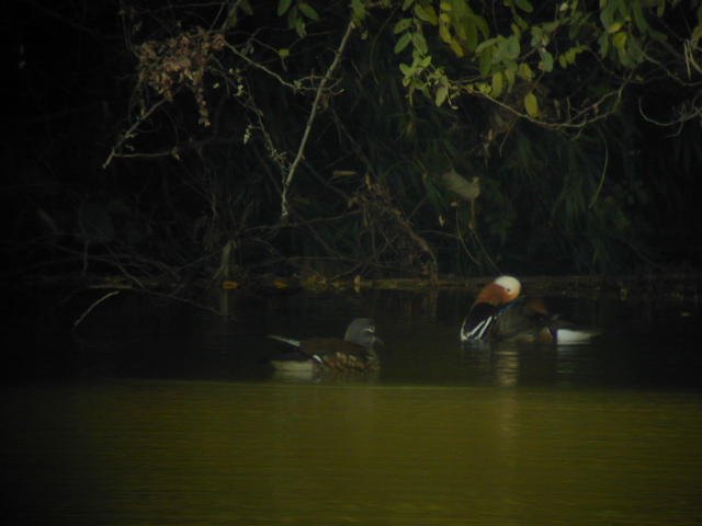 DSCN6399.JPG