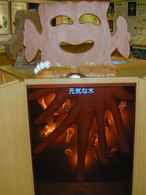 DSCN6037.JPG