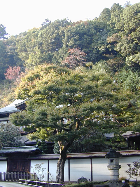 DSCN6060.JPG