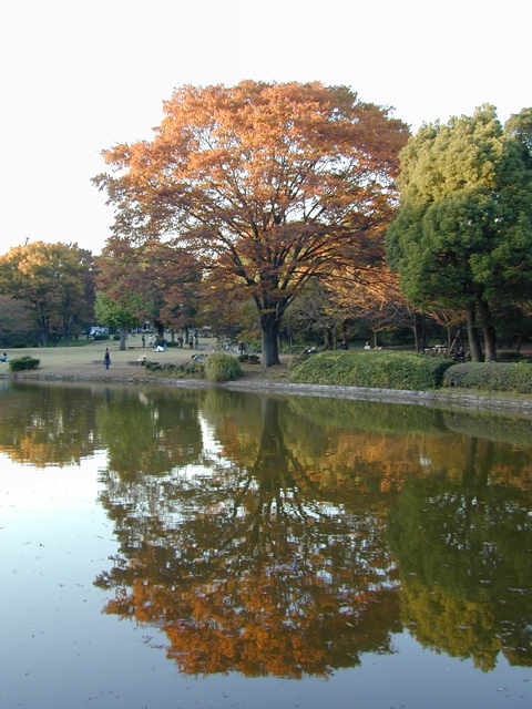 DSCN6115.JPG