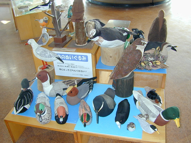 DSCN6144.JPG