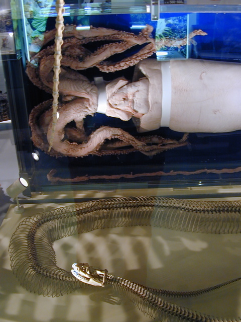 DSCN6288.JPG
