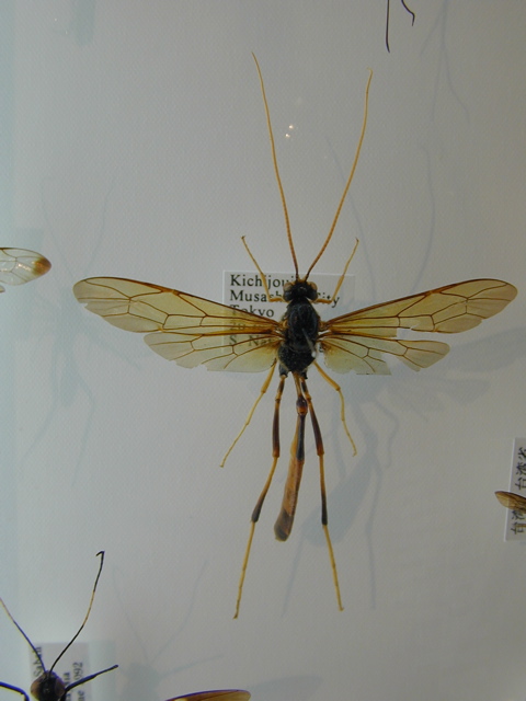 DSCN6292.JPG