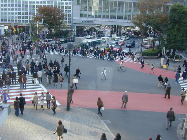 DSCN6306.JPG