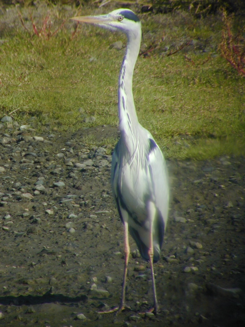 DSCN6374.JPG