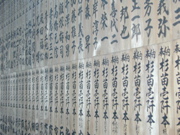 DSCN6020.JPG
