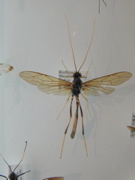 DSCN6292.JPG